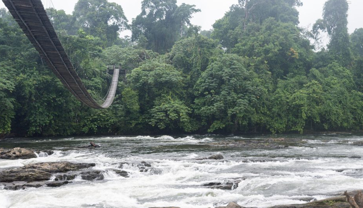 cameroon,must-see places,beauty,diversity,travel destinations,tourism,attractions,natural wonders,cultural sites,historical landmarks,wildlife,adventure,scenic beauty,top destinations,explore cameroon,african travel