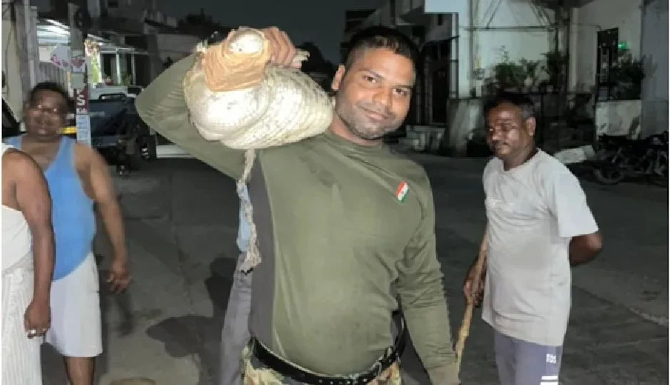 कोटा में मगरमच्छ की रिहायशी इलाके में दस्तक, वनकर्मी ने गोद में उठाकर कंधे पर बैठाया; तस्वीर वायरल