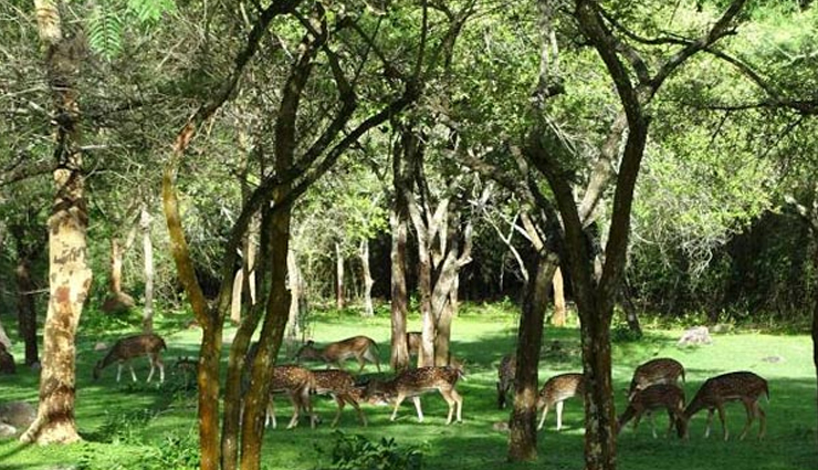 odisha,odisha wildlife sanctuaries,odisha national parks,odisha tourism,tourist places in odisha