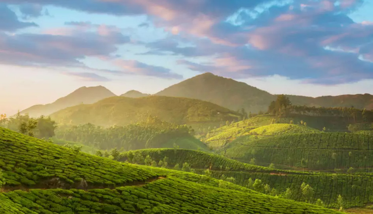 marina beach,chennai,tamil nadu beaches,longest urban beach,tourist attractions in chennai,meenakshi temple,madurai,tamil nadu temples,dravidian architecture,historical landmarks,ooty,ootacamund,tamil nadu hill stations,nilgiri mountains,tea gardens,kodaikanal,tamil nadu hill stations,kodaikanal lake,coaker walk,tourist spots