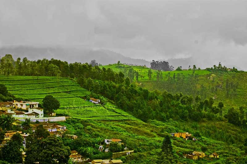 तमिलनाडु के टॉप फेमस और दिलकश हिल स्टेशन, जहा छुटियाँ मनना रहेगा यादगार tamil nadu,tamil nadu tourism,tamil nadu hill stations,holidays,travel,ooty hill station