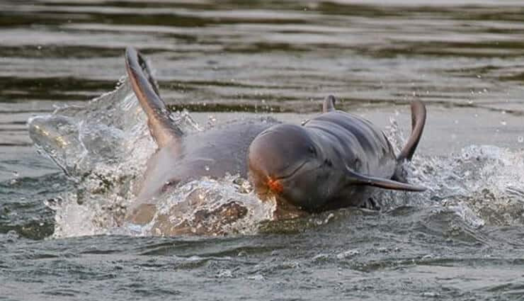 places to visit in cambodia in november,cambodia travel in november,angkor wat november,sihanoukville beaches,phnom penh attractions,tonlé sap lake,battambang shadow puppetry,koh rong island,kulen mountain cambodia,kratie dolphins mekong,kep culinary experiences,bokor national park history,cambodia weather in november,cambodia tourist destinations,cambodia cultural sites