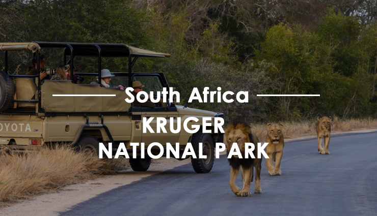 africa,national park in africa,must visit national park in africa,8 must visit national park in africa,serengeti national park,etosha national park,kruger national park,lake nakuru national park,namib-naukluft national park,virunga national park,ngorongoro national park,amboseli national park,travel,holidays,travel guide