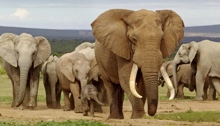 south africa tourist places,top tourist destinations south africa,best places to visit in south africa,south africa travel attractions,must-visit places in south africa,famous tourist spots in south africa,south africa sightseeing destinations,top 10 south african tourist places,south africa travel guide