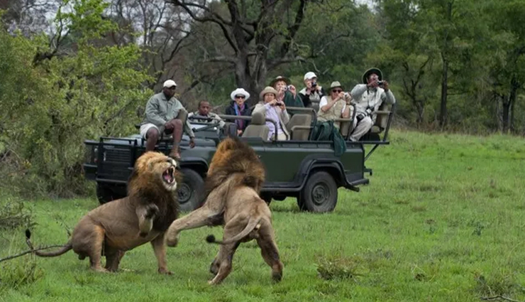 famous wildlife safaris,top safaris around the world,best wildlife safari destinations,popular global safaris,must-visit safari parks,wildlife safari tours,iconic safaris worldwide,top safari experiences,safari travel destinations,exotic safari trips