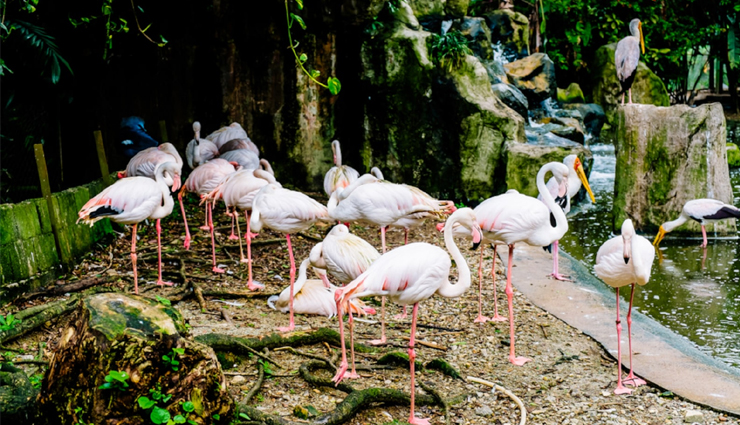 kuala lumpur,places to visit in kuala lumpur,tourist attractions in kuala lumpur,petronas twin towers,klcc park,kuala lumpur bird park,petaling street,merdeka square,sunway lagoon theme park,kuala lumpur tower