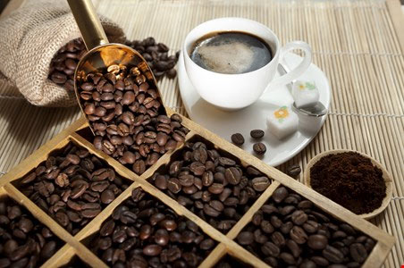 famous tea around the world,famous coffee around the world,famous drinks around the world,madras cafe,mumbai,kopi luwak martini,beijing,two birds with one stone,scottsdale,kuda coffee,maldives,grog,florence