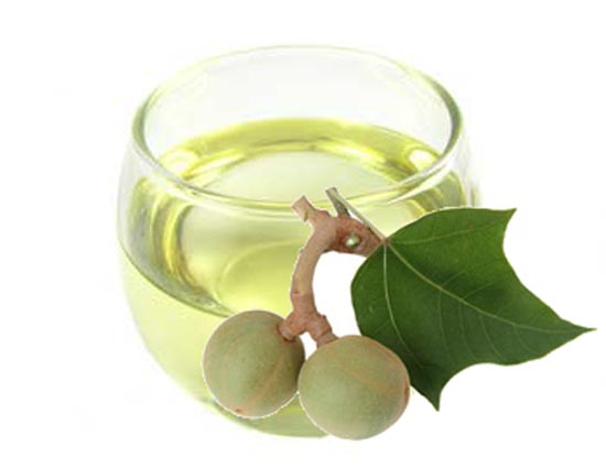 Kukui Oil Will Help You Get Get Rid of Stretch Marks and Wounds, More Benefits Listed