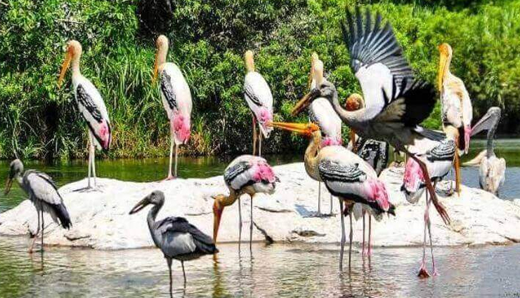 alappuzha tourist places,top attractions in alappuzha,must-visit places in alappuzha,alappuzha sightseeing,alappuzha tourism,best places to visit in alappuzha,alappuzha travel guide,alappuzha backwaters,alappuzha beach,alleppey houseboats,krishnapuram palace,marari beach,pathiramanal island,ambalappuzha sri krishna temple,punnamada lake,karumadi kuttan,arthunkal church,nehru trophy boat race,alappuzha attractions