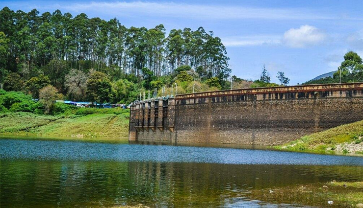 tea estate tours in munnar: savor the finest teas,waterfall hikes: attukal and lakkam in munnar,eravikulam national park: spotting nilgiri tahr,munnars spice gardens: a fragrant exploration,shikara boat rides in munnars lakes,trekking adventures: anamudi peak and chokramudi hills,elephant safari: munnars unique wildlife experience,ayurvedic spa retreats in munnar: relax and rejuvenate,photography spots: munnars scenic beauty unleashed,culinary delights: exploring munnars local cuisine