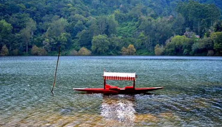 munnar,munnar travel guide,munnar travel,munnar tourism,places to visit near munnar,attukal waterfalls,blossom park,pothamedu view point,tata tea museum,kundala lake,travel,tourism,travel tips