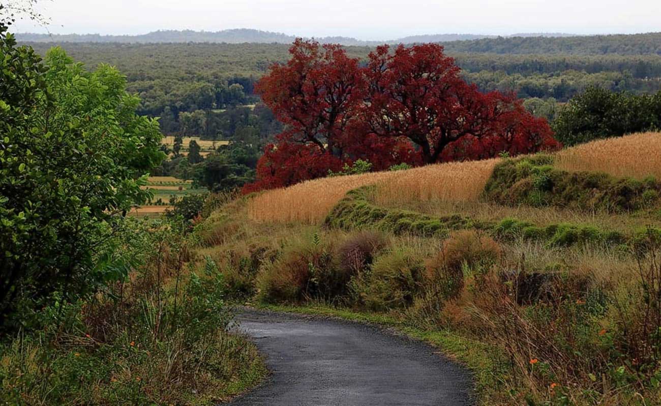 pangot,nainital,uttarakhand,tourist places,pangot tourist places,travel,holidays