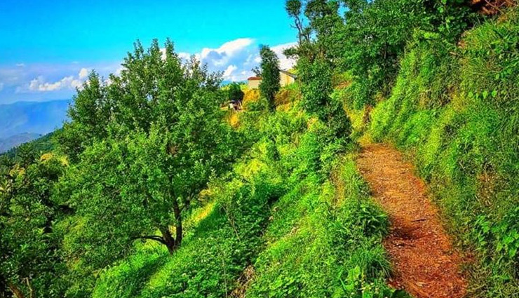 best places for trekking in india,trekking places near me,trekking places in india,trekking places in himachal,toughest trek in himachal,top 5 treks in himachal