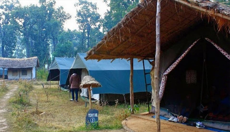 jungle,jungle adventure,jungle safari