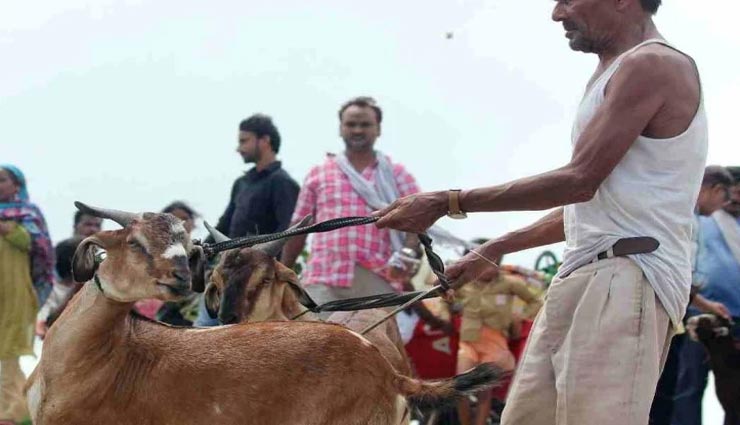 bakrid 2020,bakrid importance,bakrid history,eid ul ajha