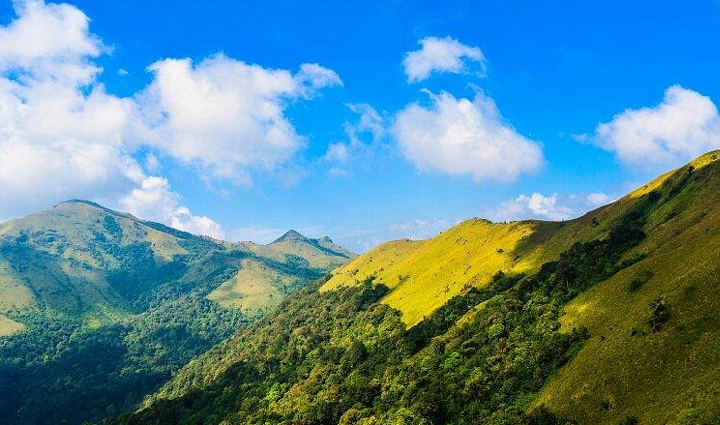 coorg tourist attractions,greenery of coorg,must-visit places in coorg,coorg sightseeing spots,top attractions in coorg,exploring coorg natural beauty,coorg travel guide,discovering coorg charm,coorg landmarks,best places to visit in coorg,coorg scenic beauty,natural wonders of coorg,coorg lush landscapes,coorg picturesque vistas,exploring the green side of coorg,coorg verdant forests,coorg breathtaking views,coorg mesmerizing greenery,coorg serene ambiance,coorg enchanting nature spots