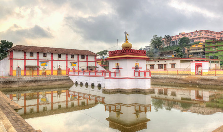 coorg tourist attractions,greenery of coorg,must-visit places in coorg,coorg sightseeing spots,top attractions in coorg,exploring coorg natural beauty,coorg travel guide,discovering coorg charm,coorg landmarks,best places to visit in coorg,coorg scenic beauty,natural wonders of coorg,coorg lush landscapes,coorg picturesque vistas,exploring the green side of coorg,coorg verdant forests,coorg breathtaking views,coorg mesmerizing greenery,coorg serene ambiance,coorg enchanting nature spots