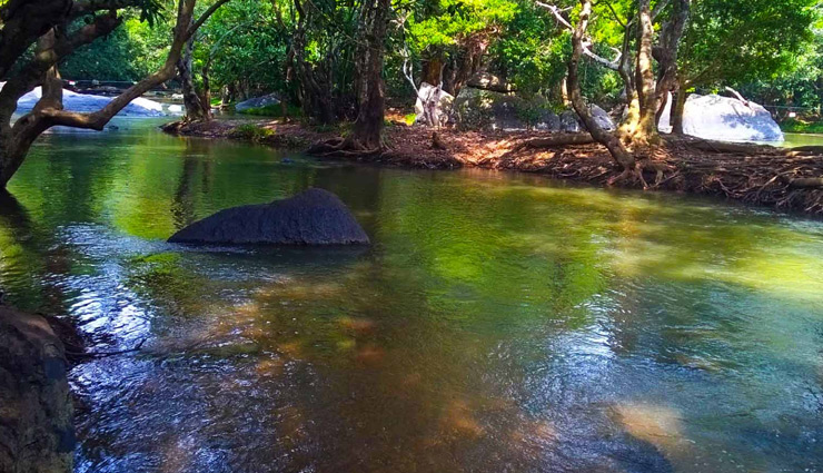 केरल में स्थित वायनाड की खूबसूरती का हर कोई दीवाना, हनीमून के लिए बेस्ट डेस्टिनेशन natural wonders in wayanad,wayanad hill stations and resorts,wayanad travel guide,popular destinations in kerala,wayanad wildlife sanctuaries,wayanad adventure tourism,charming places in wayanad,family-friendly attractions in wayanad,wayanad historical landmarks,cultural experiences in kerala,ecotourism in wayanad,wayanad offbeat destinations,best viewpoints in wayanad,wayanad waterfalls and lakes,wayanad trekking trails,best places to visit in wayanad,wayanad tourist attractions,kerala travel destinations,scenic spots in wayanad,must-visit places in kerala,wayanad hill stations,kerala nature tourism,historical sites in wayanad