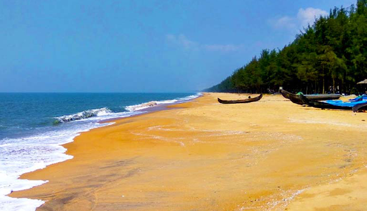 kochi beautiful beaches,fort kochi beach attractions,cherai beach tranquility,vypin beach scenic beauty,andhakaranazhi beach kerala,marari beach cleanest beach,kuzhupilly beach hidden gem,puthuvype beach serene retreat,alappuzha beach venice of the east,top beaches in kochi