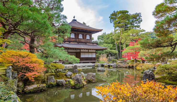 kyoto,places to visit in kyoto,activities to do in kyoto,japan