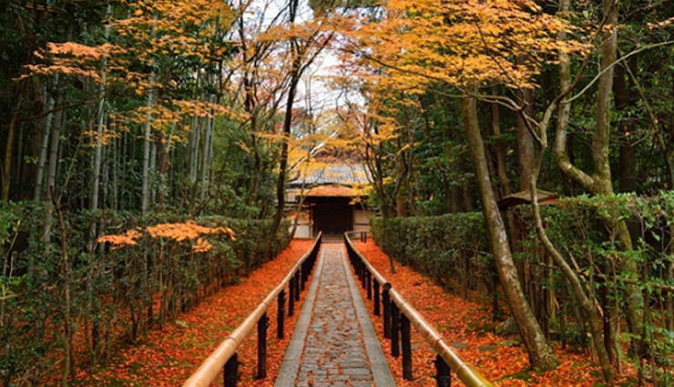 kyoto,places to visit in kyoto,activities to do in kyoto,japan