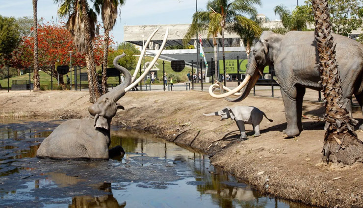 los angeles,places to visit in los angeles,los angeles travel,warner bros studio tour,peterson automotive,la brea tar pits,oue skyspace,natural history museum,trael,tourism