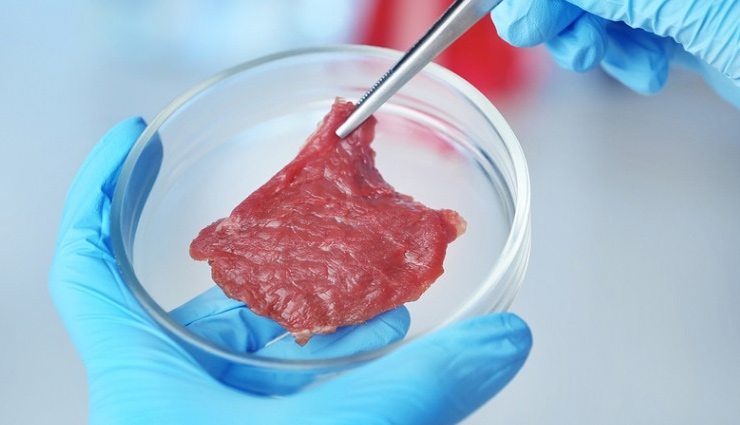 singapore,lab grown meat,what is lab grown meat,how to develop lab grown meat,world news