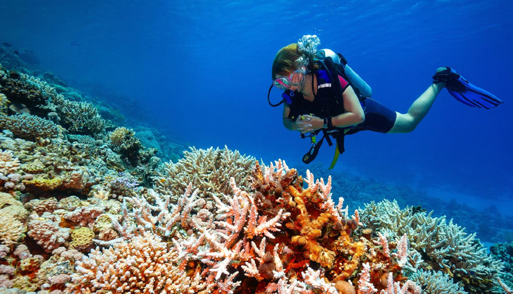 places to enjoy scuba diving in singapore,holiday,travel,tourism