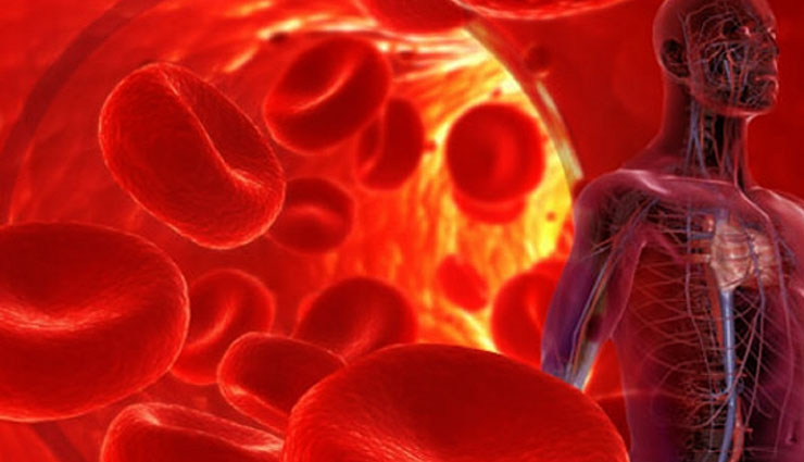 ये 5 संकेत दर्शाते हैं शरीर में खून की कमी, जानें और समय रहते कराए इलाज