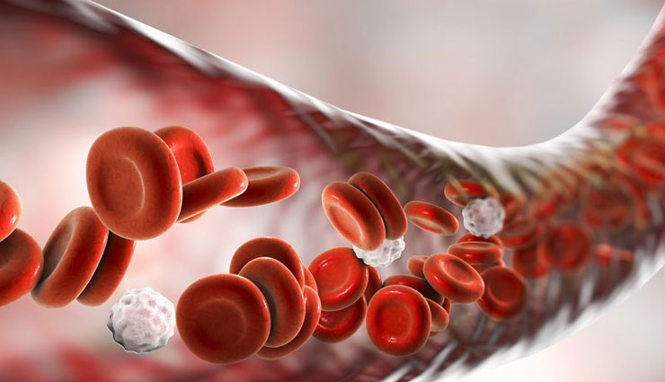 anemia,blood deficiency,blood deficiency symptoms,blood deficiency reason,increase blood in body,blood,blood in hindi,Health,health tips in hindi