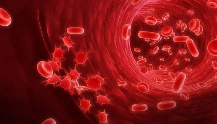 anemia,blood deficiency,blood deficiency symptoms,blood deficiency reason,increase blood in body,blood,blood in hindi,Health,health tips in hindi