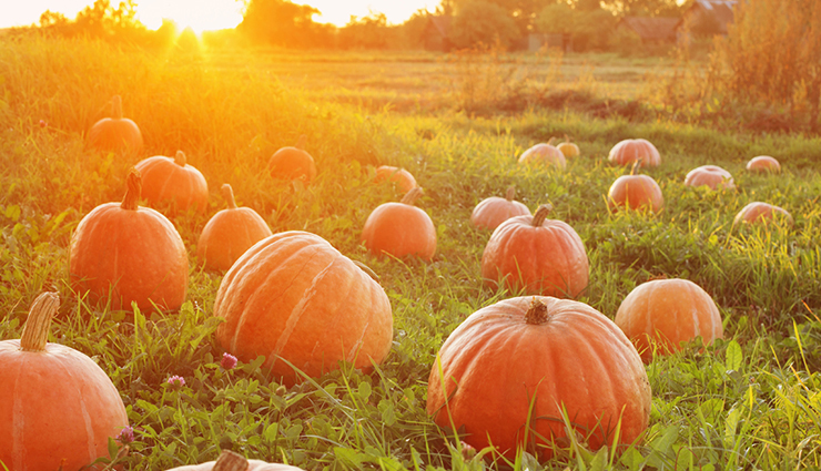 lactose intolerance,home remedies,home remedies for lactose intolerance,Health tips,fitness tips