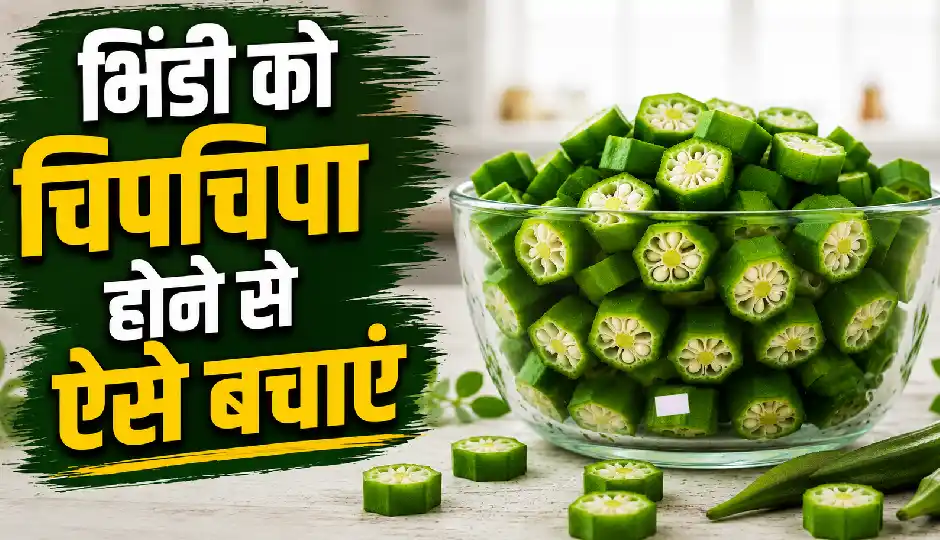 हर बार चिपचिपी बनती है भिंडी की सब्जी? अपनाएं ये आसान किचन टिप्स, बनेगी एकदम कुरकुरी और स्वादिष्ट