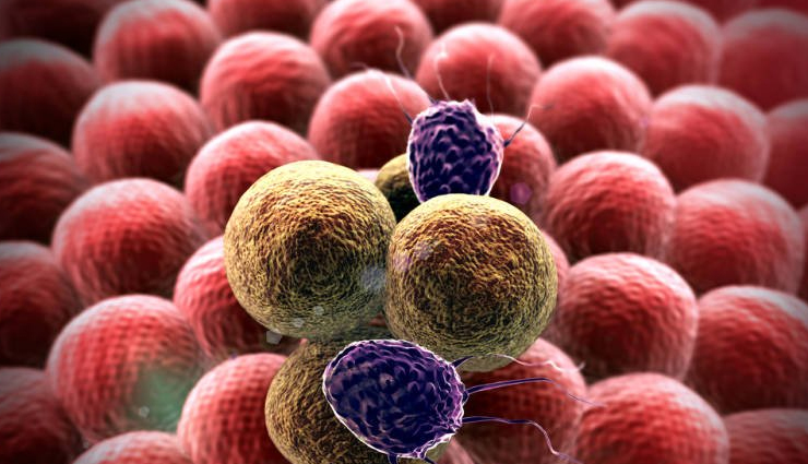 lady finger,health benefits of lady finger,Health tips,fitness tips