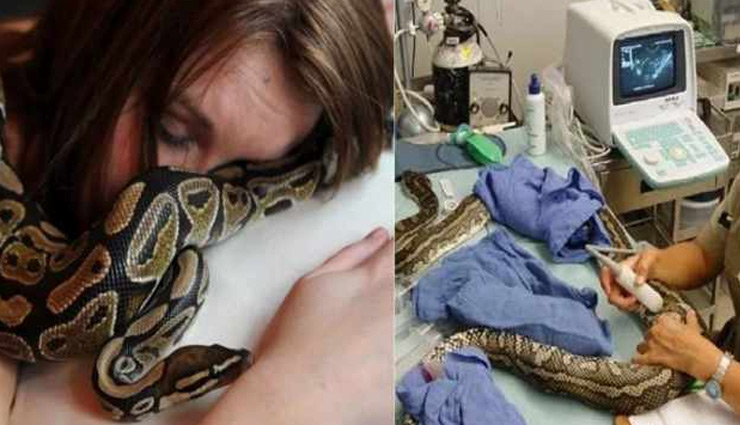 girl sleeping with python