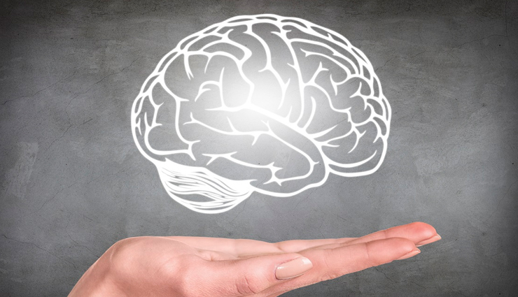 ladyfinger for improving digestion,ladyfinger  preventing constipation,ladyfinger for regulating blood sugar levels,ladyfinger for improving heart health,ladyfinger reducing the risk of heart diseases,ladyfinger for boosting immunity,ladyfinger for improving bone health,ladyfinger for improving vision,ladyfinger for promoting weight loss