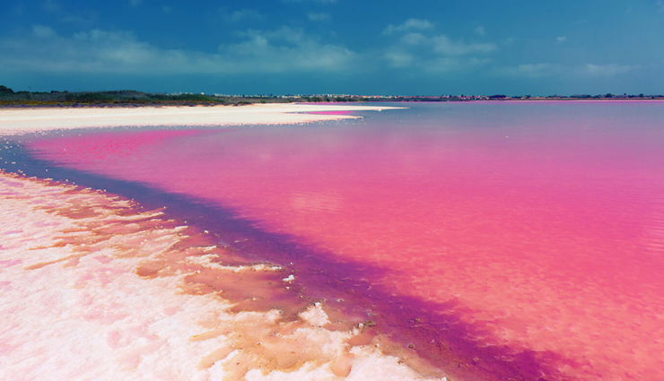 एक नजर भारत के गुलाबी रंग से सरोबार जयपुर के अतिरिक्त दुनिया के दूसरे स्वप्निल गुलाबी गंतव्य पर pink destinations around the world,explore the pink travel spots,best pink-themed travel destinations,pretty in pink travel guide,pink landmarks worldwide,uncover the beauty of pink destinations,pink travel bucket list,pink vacation spots around the globe,pink travel experiences,rose-colored travel adventures,pink architecture and landmarks,pink cities and towns to visit,pink travel ideas and inspiration,instagram-worthy pink places to travel,embrace the pink travel trend