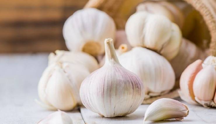 lahsun chutney,lahsun chutney ingredients,lahsun chutney recipe,lahsun chutney home,lahsun chutney chatpati dish,lahsun chutney rajasthan,garlic