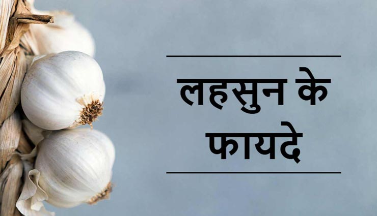 लहसुन की 2 कली का रोजाना सेवन बनाएगा आपको सेहतमंद, जानें कैसे 