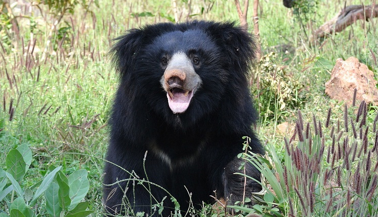 ranthambore,beautiful places to visit in ranthambore,rajasthan,rajasthan tourism,tourist places in rajasthan,holidays,travel guide,travel tips