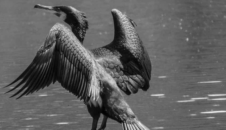 lake,weird lake,humans into stones
