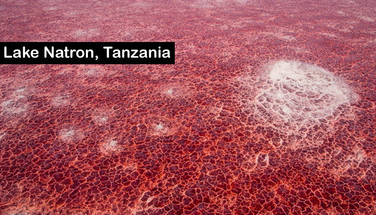 germany,heavenly weird places,lake natron tanzania,salar de uyuni in the potosí and oruro departments bolivia,devils bridge,the giants causeway,northern ireland,lake hillier western australia