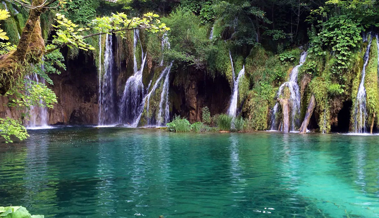 beautiful lakes in the world,must visit lakes,peyto lake,canada,plitvice lakes,croatia,moraine lake,crater lake,usa,five-flower lake,china