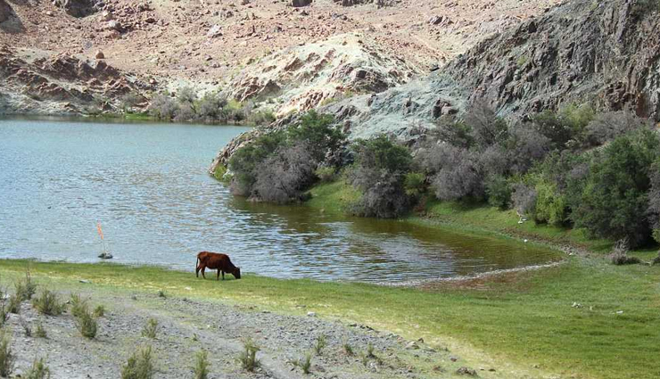 undiscovered lakes in ladakh,least known lakes to visit in ladakh,hidden gems lakes in ladakh,underrated ladakh lakes,offbeat lakes to discover in ladakh,hidden lakes of ladakh,unexplored lakes in ladakh,secret lakes to explore in ladakh,undiscovered gems of ladakh lakes,remote lakes in ladakh to visit,off-the-grid lakes in ladakh,unknown lakes worth exploring in ladakh,serene underrated lakes in ladakh,lesser-known scenic lakes of ladakh,offbeat lakeside retreats in ladakh