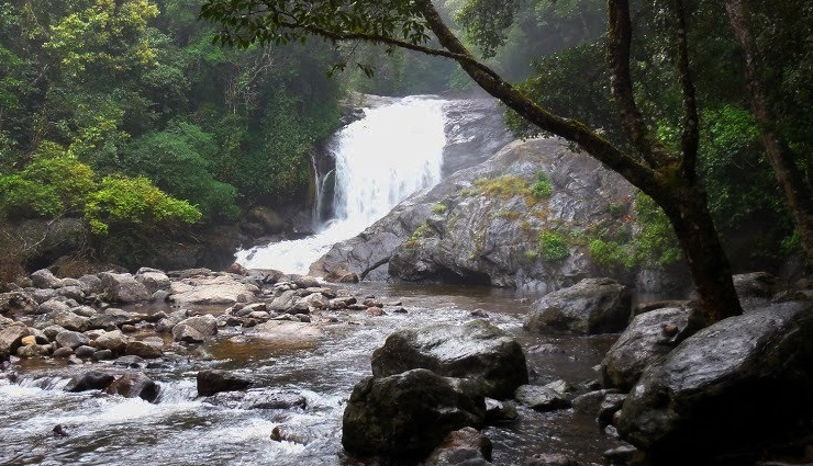 munnar waterfalls tour,best waterfalls in munnar,munnar breathtaking waterfalls,must-see waterfalls in munnar,munnar waterfalls exploration,top munnar waterfall destinations,munnar spectacular waterfalls,discovering munnar waterfall wonders