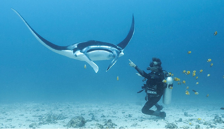 scuba diving in india,best scuba diving spots india,padi certified dive sites india,adventure sports india,diving vacations india,coral reef diving india,scuba diving bucket list,underwater adventure india,diving courses india,scuba diving destinations india,affordable scuba diving india