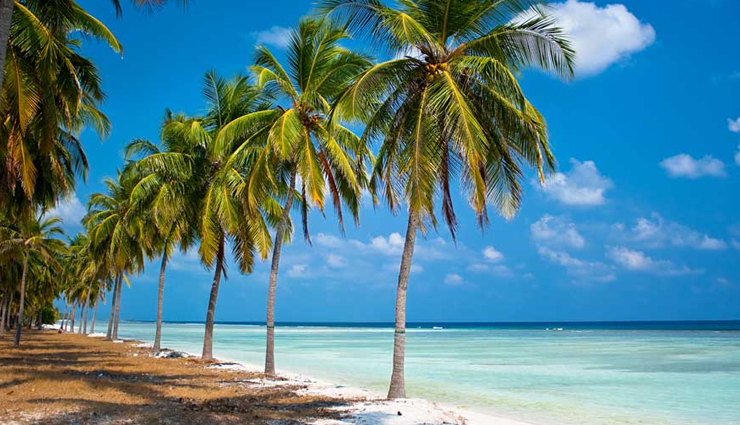 lakshadweep,islands in lakshadweep,must visit places in lakshadweep