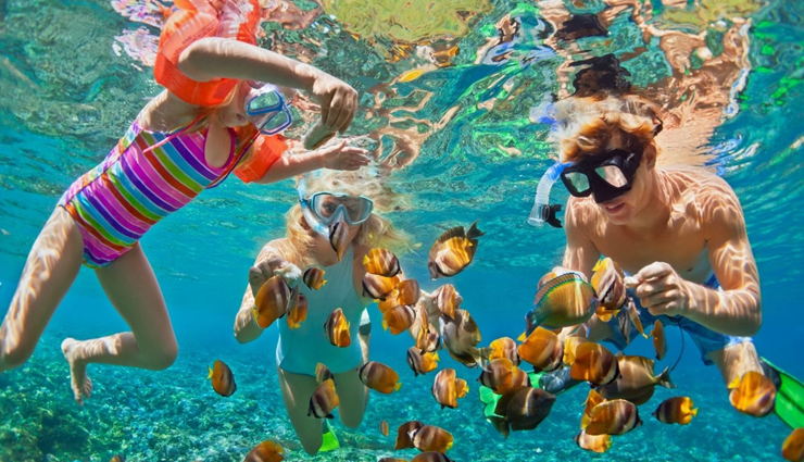 snorkeling in india,best snorkeling spots in india,snorkeling destinations india,andaman snorkeling sites,netrani island snorkeling,lakshadweep snorkeling,snorkeling in goa,tarkarli snorkeling spots,top places for snorkeling in india,marine life snorkeling india