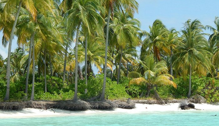 6 Amazing Beaches To Explore in Lakshadweep