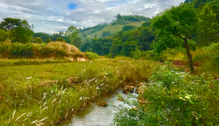 south india hill stations,hill stations in tamil nadu,kerala hill station retreats,coorg coffee plantations,munnar tea gardens,ooty nilgiri mountains,kodaikanal scenic beauty,idukki dam attractions,yelagiri summer festival,ananthagiri hills nature sanctuary,ponmudi golden hill trekking,horsley hills wildlife exploration,lambasingi snowfall experience,hidden gems in south india,tamil nadu hill station adventures